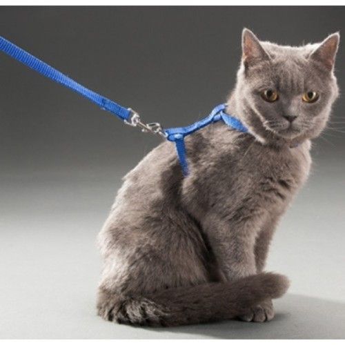 ETT 562741416442 Kedi Boyun Ve Göğüs Tasması
