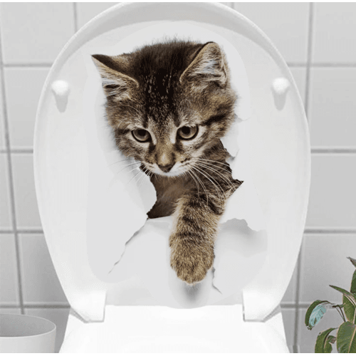 ETT 562741420695 Decohandy Klozet Etiketi Stray Cat
