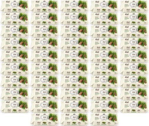 Fibril Islak Havlu Mendil 90 Yaprak Mistik Sedir Ağacı Plastik Kapaklı (48 Li Set) 4320 Yaprak