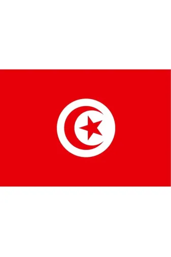 GKBY719 Tunus Gönder Bayrağı 70X105 Cm.