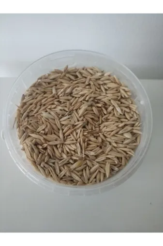 GoldMindMix Kuşyemi-yulaf-1 10 Kg Kuş Yemi ( Kabuklu Yulaf ) 10Kg. Papağan Kanarya, Muhabbet Kuşu, Güvercin Için.
