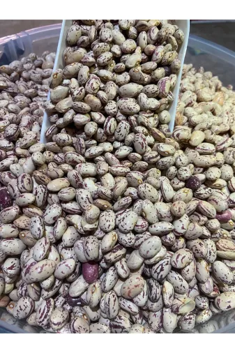 GÜLTEKİN BAL 7527(2 Renkli Barbunya 1 Kg