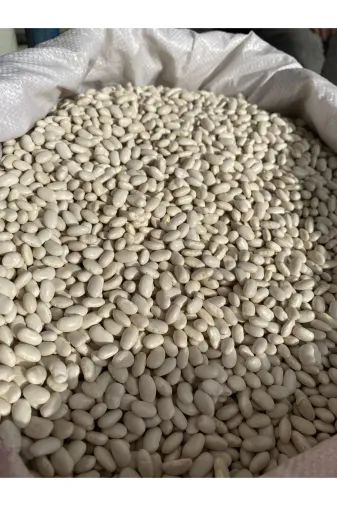 GÜLTEKİN BAL aaaaa Fasülye 1 Kg
