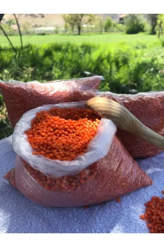 GÜLTEKİN BAL TYCYX88ZLN171580516308666 Köy Kirmizi Mercimek 1 Kg