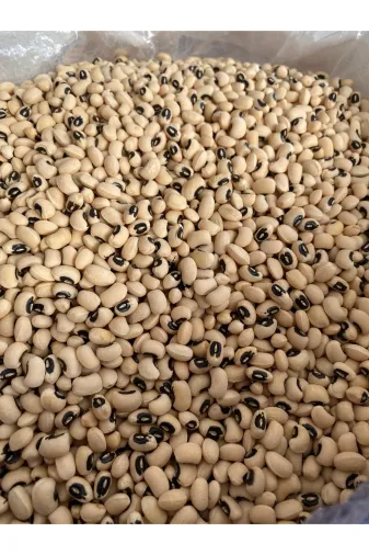GÜLTEKİN BAL uyuyaetryujkj34434 Kuru Börülce 2 Kg ( Köy Mahsülü)
