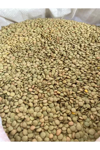 GÜLTEKİN BAL Yeşil Mercimek 10 Kg