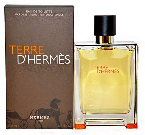 hermesterre2 Hermes Terre D Edt 100 Ml Erkek Parfüm