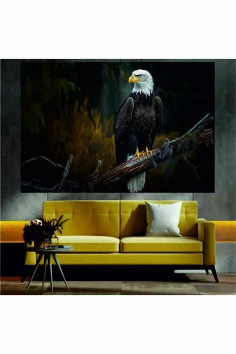 HOMEARTHS SKDT2500011 Kartal Temalı Sanatsal Dekoratif Duvar Tablosu