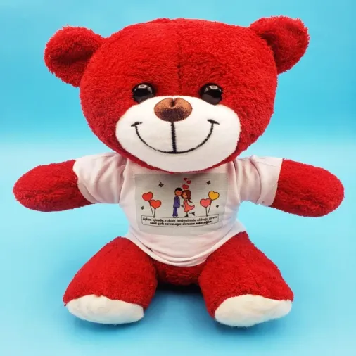 Kalp Motifli Tişörtlü 25 Cm Kırmızı