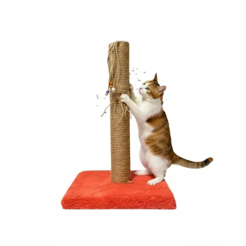 Kedi Tırmalama 40cm
