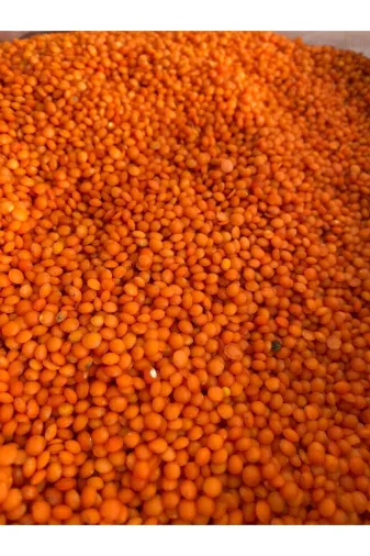 Kirmizi Mercimek 3 Kg