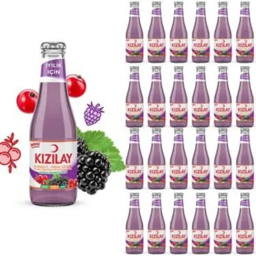 KIZILAY KARADUT & FRENK ÜZÜMÜ 200 ML (24 Adet) Koli