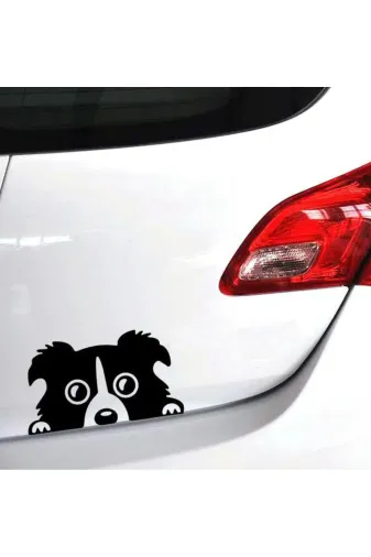 Klas Reklam 0555S Köpek Araç Sticker