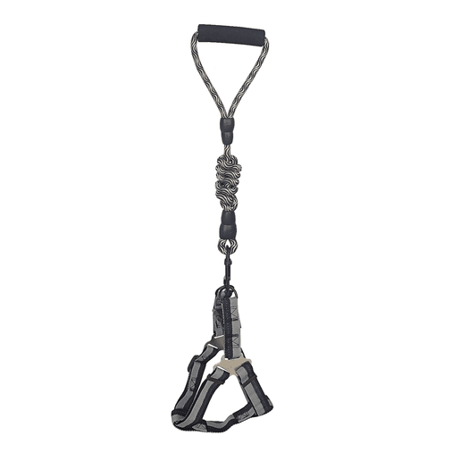 Köpek Göğüs Tasma Seti Daa Desenli 2.5 cm*50-72 cm Siyah-Beyaz