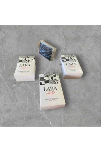 lara buklet TYBJB57PCKL22SC936 100 Adet Ayakkabı Bakım
