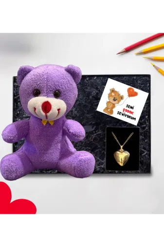 lenostra Set-Hediyelik24 Hediye Kutusunda 25Cm Mor Ayıcık Ve Çelik Kalp Kolye Sevgiliye Hediye Romantik Hediye
