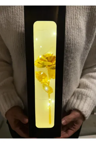 lenostra Sevgiliye-Cicek6 Sevgiliye Hediye Led Işıklı Kutuda Gold Sonsuzluk Gülü Sevgiliye Cicek Kıza Hediye Çiçek Hediye