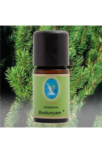 NUKA 371502437 Defne Essencia Bodur Çam Yağı 5 Ml
