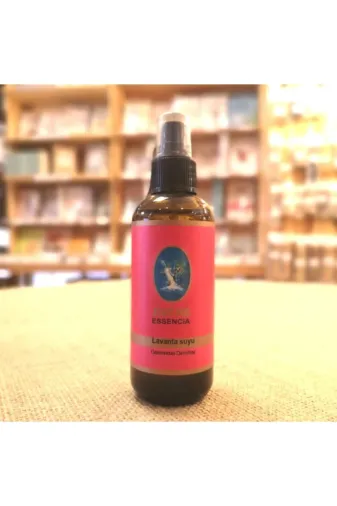Nuka Defne Esencia 100221207 Nuka Lavanta Suyu 100 Ml/sprey - Damıtma (Geleneksel - Türkiye)