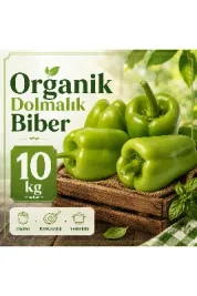 Organik Dolmalık Biber 10 kg