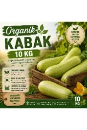 Organik Kabak 10 kg