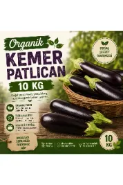 Organik Kemer Patlıcan 10 kg