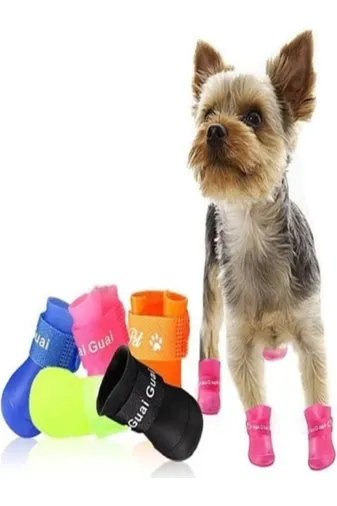 pelipet TYCWDAG95N170271894335675 Silikon Köpek Ayakkabısı Köpek Yürüyüş Ayakkabısı