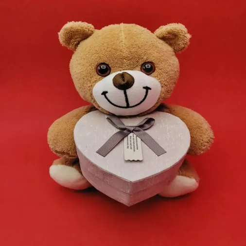 Peluş Hediye Kutusu 25 Cm Karışık Renk