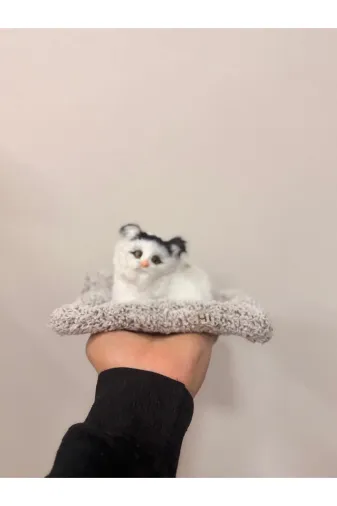 Royal Consept byt77 Peluş Yavru Kedi Oyuncak Minder Üstünde Uyuyan Kedi Sesli Miyavlayan Oyuncak Karışık Gönderilir