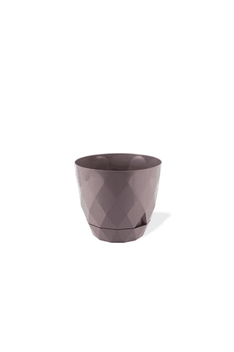 Royaleks Group RT-RYL-H-67691 2 No Yakamoz Saksı 1 Adet Royaleks-Krs-452
