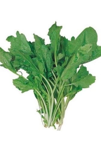 Royaleks RT-RYB-SNBH1087 Tere Tohumu 10 Gr