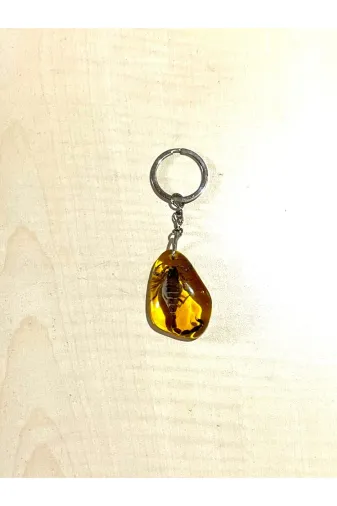 SANAT TACİRİ 6476EUTRHG Kurutulmuş Akrep Anahtarlik Çanta Süsü
