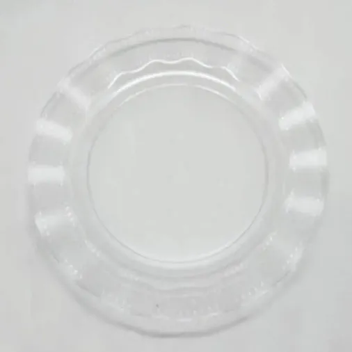 Şeffaf Lüks Plastik Mika Yuvarlak Tabak 22 Cm 6 Adet