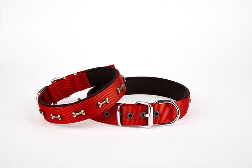 Softlu Dokuma Metal Kemik Süslü Tasma 2,5*60 cm Kırmızı