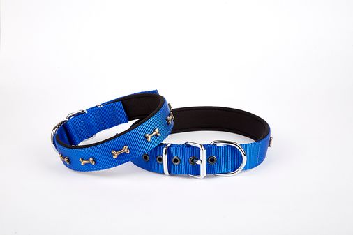 Softlu Kemik Desenli Köpek Tasması 2 cm x 45 cm Mi