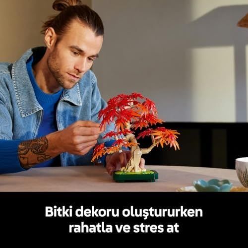 ST 133249418 Japon Kırmızı Akçaağaç Bonsai Ağacı 10348 - Kırmızı Ve Kehribar Sarısı Yapraklara Sahip Yapay Bitki İçeren Sevgililer Günü&apos Ne Özel Model Yapım Seti 474 Parça