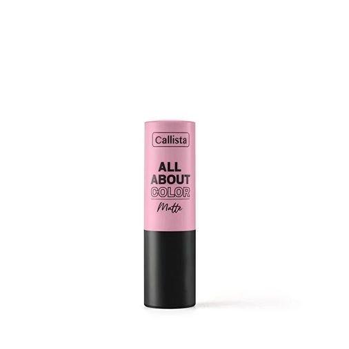 ST24090460 Callista All About Color Matte Lipstick No:510 Midight Mulberry Bordo Mat Görünümlü Ruj