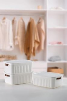 Stp Standartplast 57855210125976980184975 1 Adet Düzenleyici Kapaklı Kutu, Dekoratif Saklama Kutusu, Organizer 35Cm 25Cm 14Cm Beyaz 10 Litre Açık Ahşap