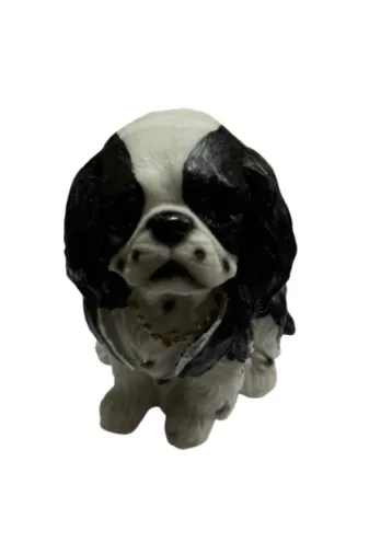 t camp cs-01 Zarif Siyah-Beyaz Kral Charles Spaniel Biblo Köpek