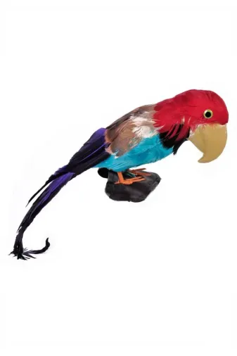 t camp parrot-91 Renkli Tüylü Papağan Dekoratif Süs Ev Ofis Dekoru 50 Cm.