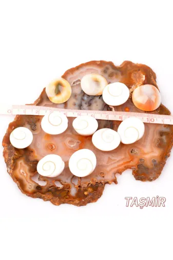 Taş-Mir 09929292 Yılancık Taşı 10 Adet