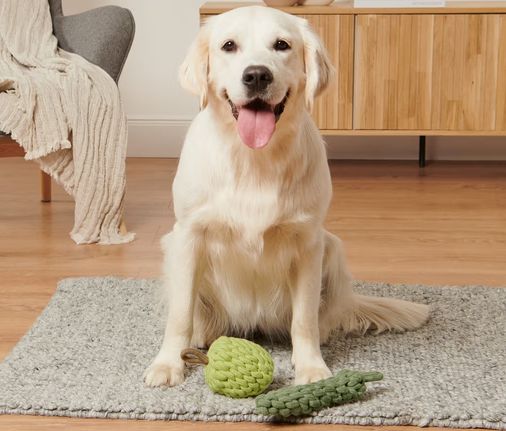Tchibo 653136 Elma-Kabak Köpek Oyuncağı