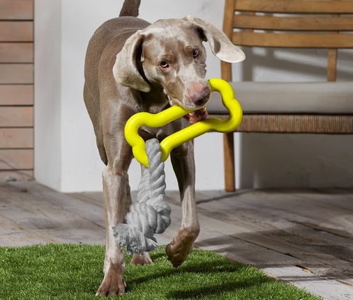 Tchibo 684731 Köpek Oyuncağı