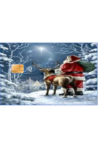 TOZLU RAF TYC00661641948 Kredi Kartı Stıcker - Yılbaşı