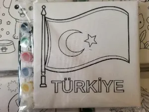 TÜRKİYE 20X20 TUVAL BOYAMA SETİ