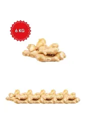 Verita Taze Kök Zencefil