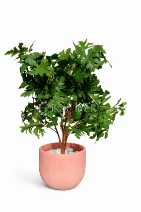 Yapay Akçaağaç Yaprağı 45 cm