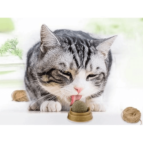 YNT İthalat AK-A739 Kedi Nanesi Oyun Topu