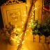 10 Metre 100 Ledli 8 Fonksiyonlu Dekoratif Lambader Sarı Lamba (4745) 1