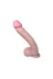 33 Cm Belden Bağlamalı Realistik Dev Penis Set 2
